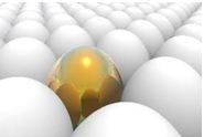 egg (10K)